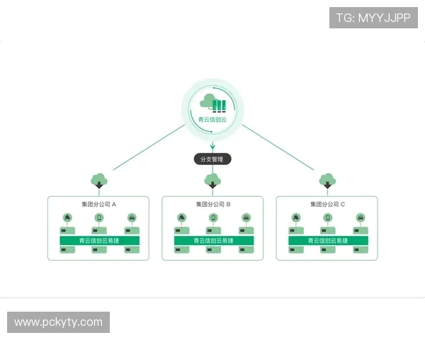开云全站网站后台管理系统详解，简化操作流程提升工作效率