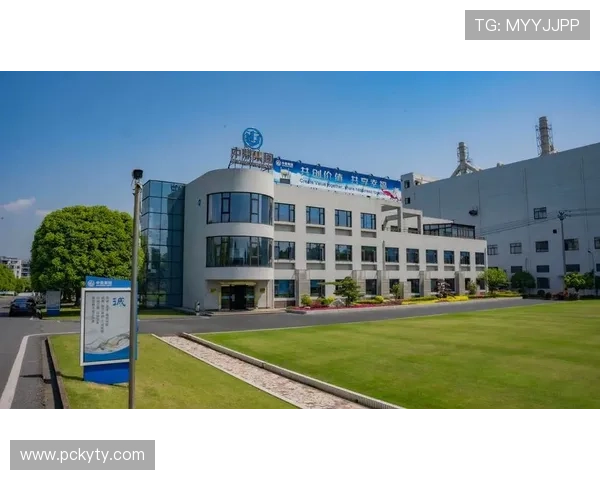 开云集团有限公司官网：了解品牌历史与企业文化的最佳平台