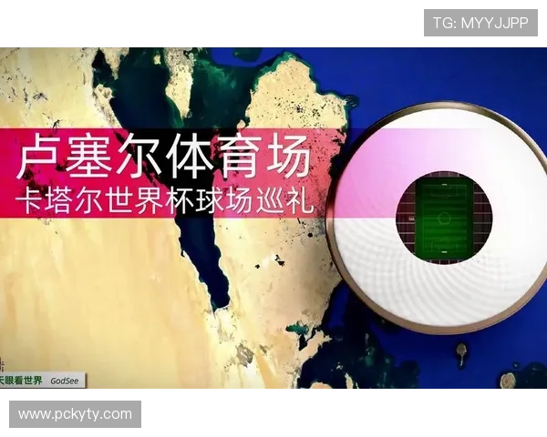 选择开云体育地址平台的理由与使用体验分析