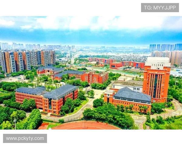 库拉索与德国比赛的球场环境及场地设施全景解析