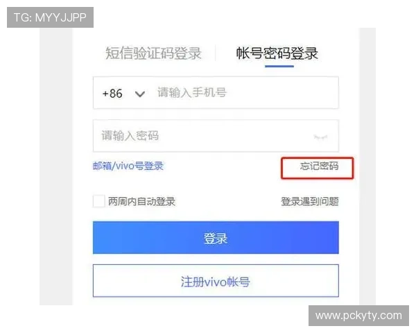 开云体育登陆账号忘记密码怎么办？详细操作流程帮你快速找回